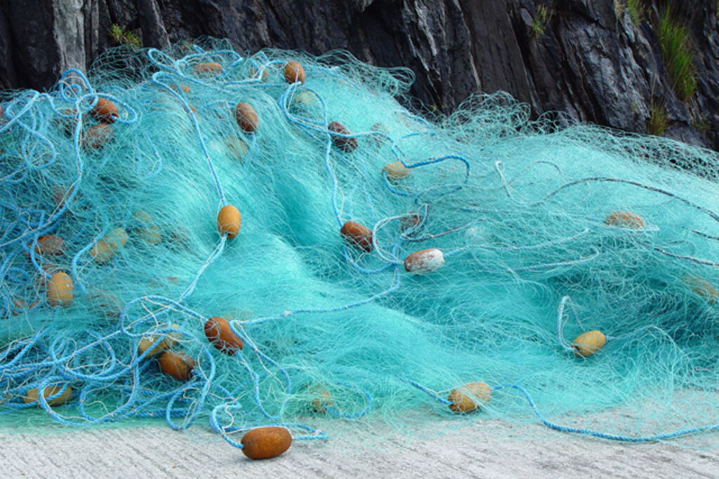 Fish-and-prawn-schooling--net